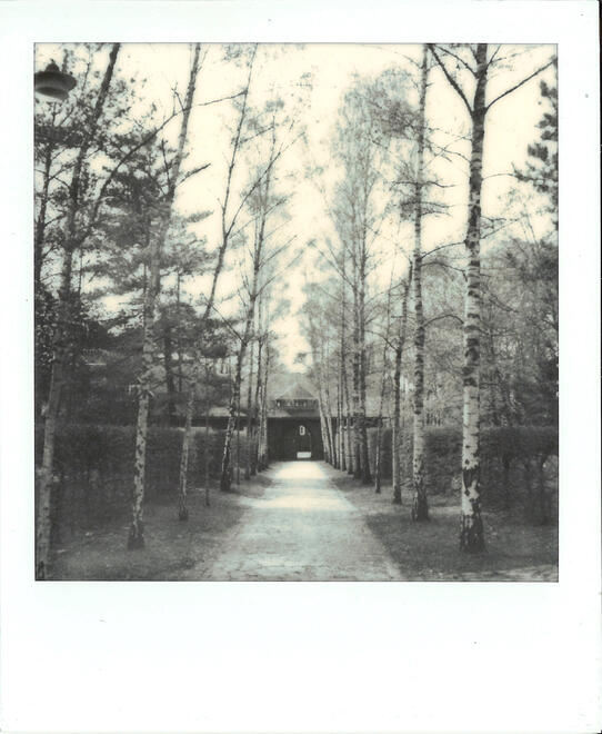 Untitled Untitled