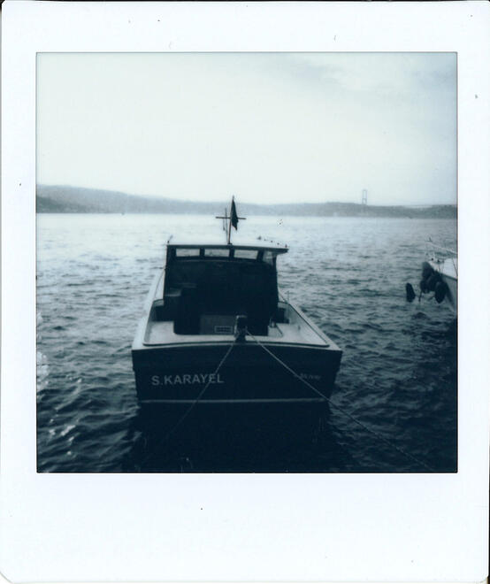 Untitled Untitled