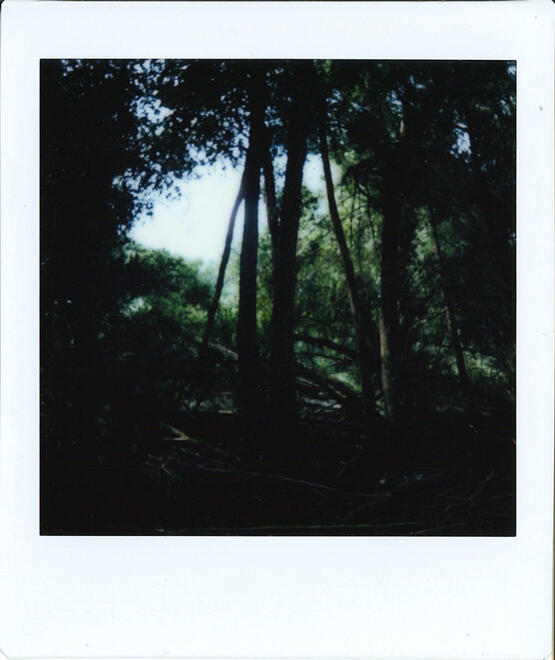 Untitled Untitled
